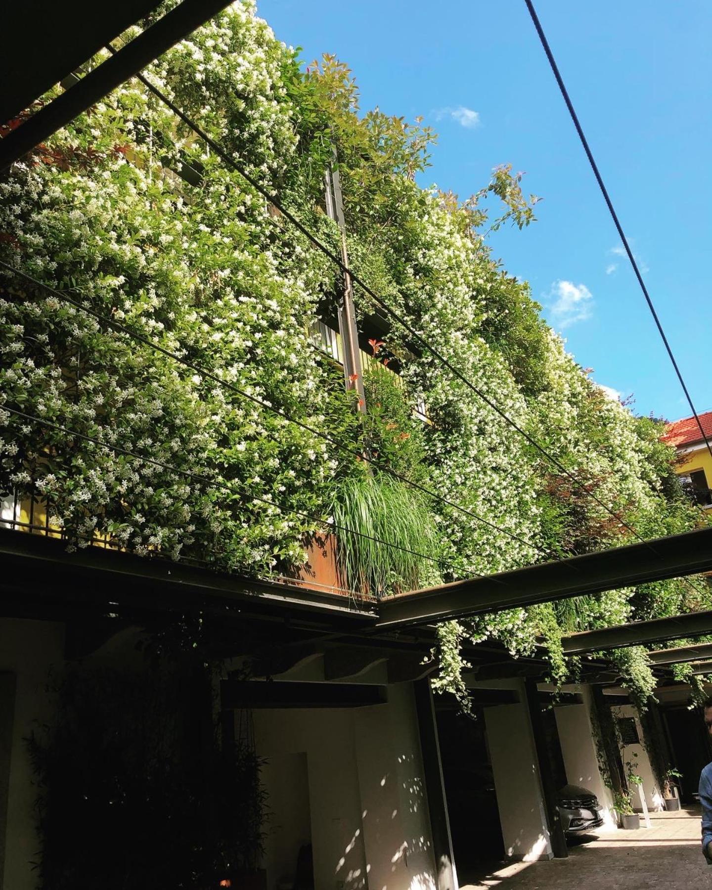 Residence Casa Coppa Appartamento Aster Omegna Bagian luar foto